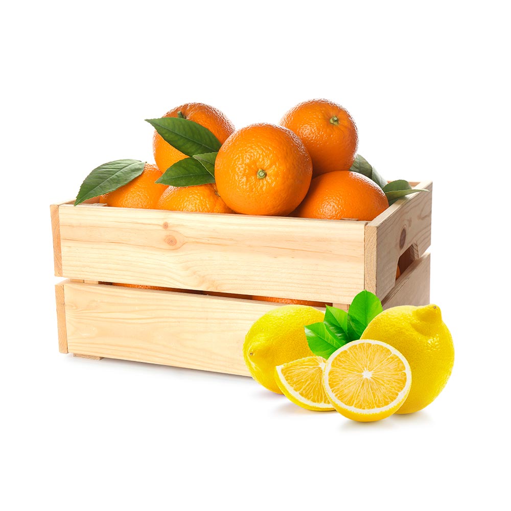 misto-limoni-arance-19kg